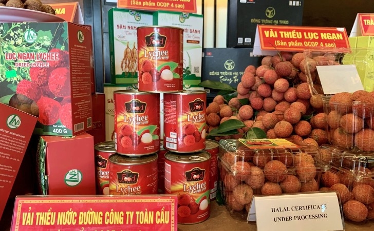 Indonesia, Vietnam set ambitious target to boost food industry cooperation